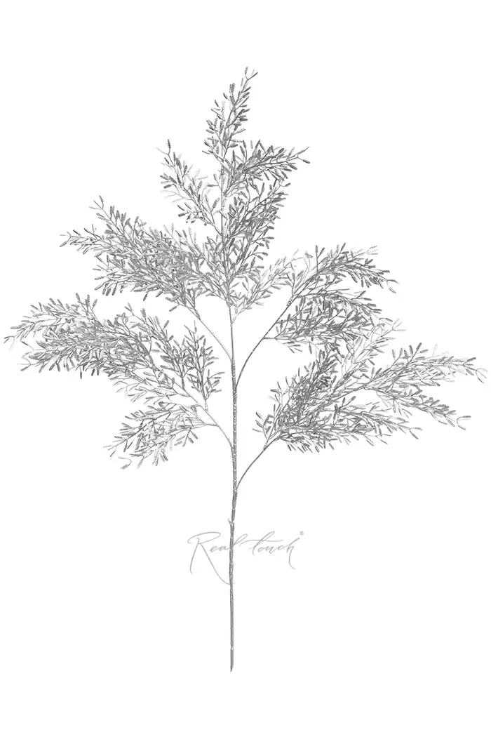 Аспарагус - Серебро