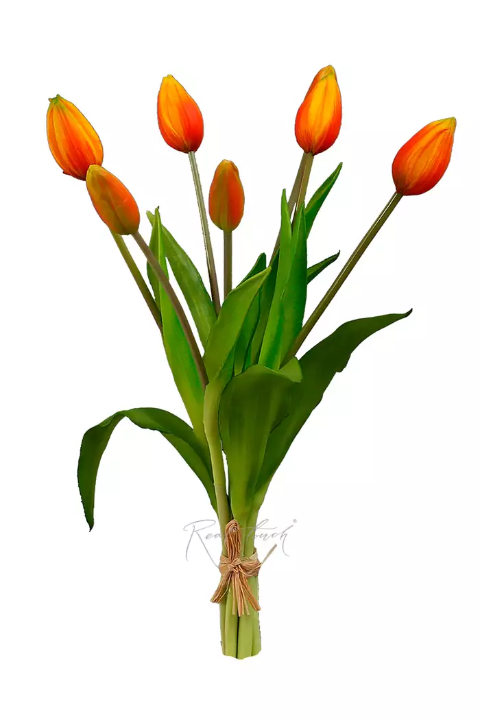 Букет закрытых тюльпанов 4+3 - Оранжевый