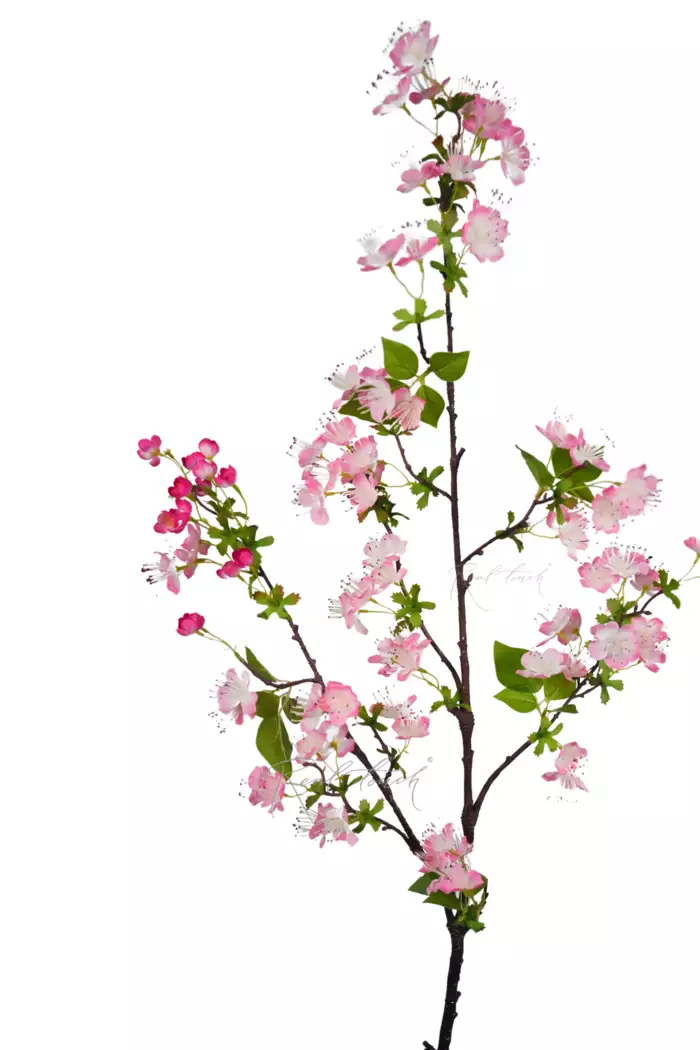 Ветка цветущей груши - Розовый